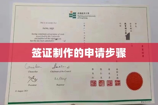 扶绥签证制作的申请步骤