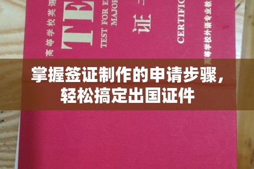 扶绥掌握签证制作的申请步骤，轻松搞定出国证件